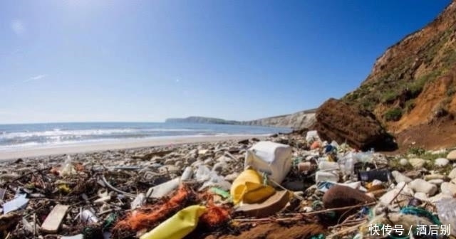 西方：收不收洋垃圾中国说了不算，要投票决定？我国回复太霸气