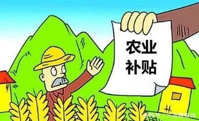 农村土地丢荒，以下四大原因，说明为何农民不愿意种地