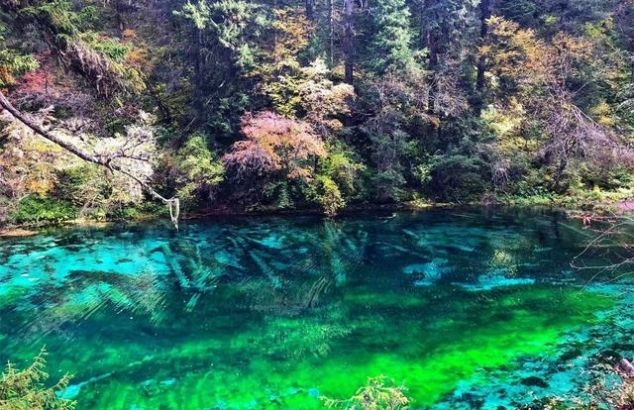 风景完全不输九寨沟的景区，风景美丽，但因捆绑销售让游客很无奈