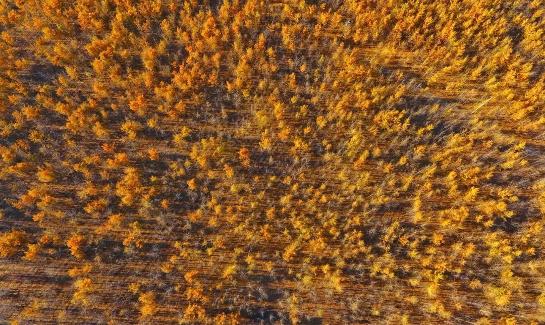 10个藏在深山人不知的古村落，却是世外桃源