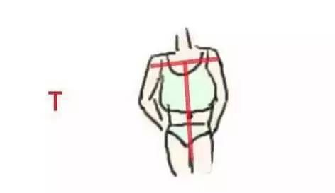 你究竟是什么身型?不想知道吗?