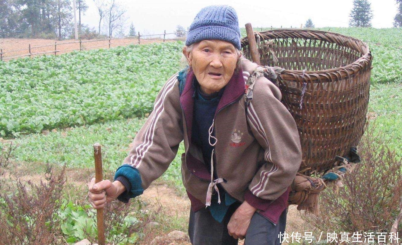 农民需不需要领取养老金？专家说出3点，农民：给你点赞