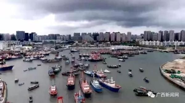 开海后，广西最新海鲜价格是这样的……