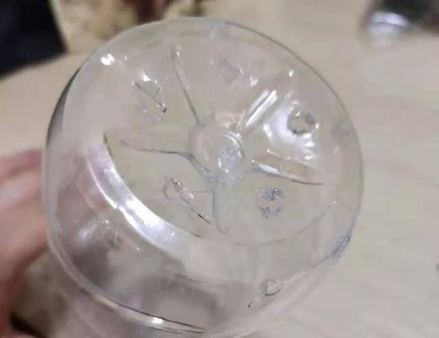  【干净的塑料】发现了一种“养花神器”——塑料瓶