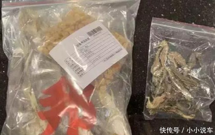 去香港澳门旅游要注意，这些“特产”别带回来，可能会有“麻烦”