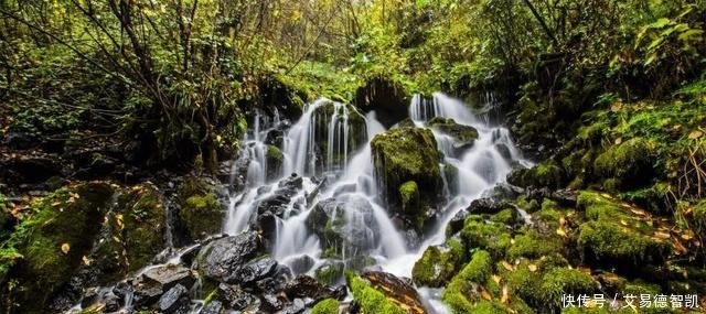 国务院点名! 沙坪坝、江北、涪陵、万州……这20个区都在榜!