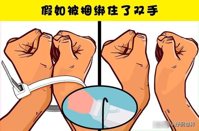 『捕食者』8个或许可以在紧要关头拯救生命的小技巧