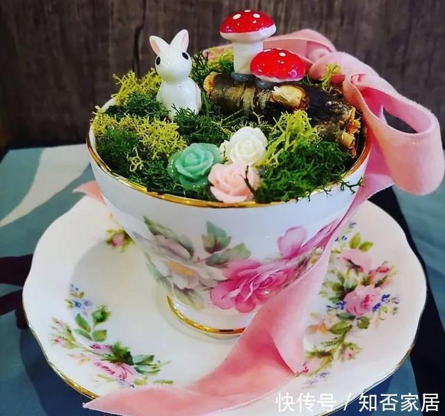 「装饰」在茶杯里建花园,美到惊艳!31万网友疯狂点赞