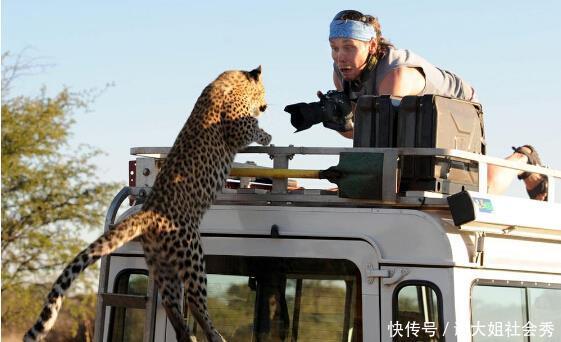 非洲最稳定国家,百年无战事经济发展迅速,死亡