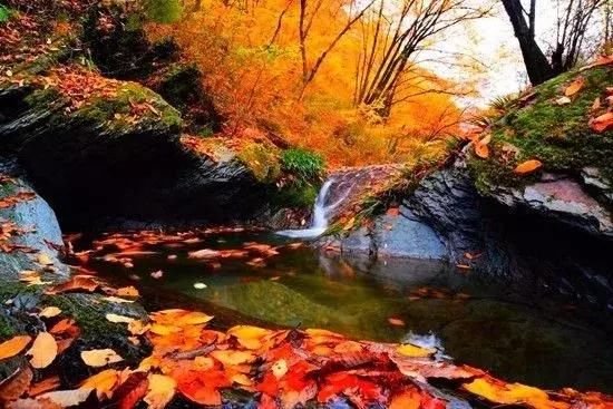 赏红叶的季节到了，南充周边除了光雾山这里的也很美