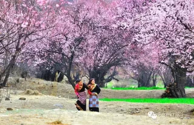 中国唯一高速全年不收费的省,景点门票全免费,不来一趟太亏!