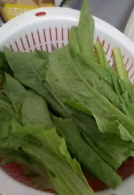  『蔬菜』家庭种菜就选它，不用花钱就能吃上新鲜蔬菜，菜香飘十里