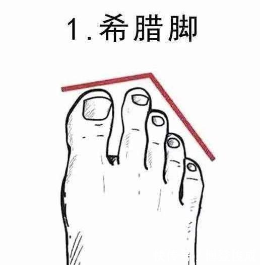  罗马脚：4种最美脚型排行榜，埃及脚堪称“女神”脚！每个女生都想拥有