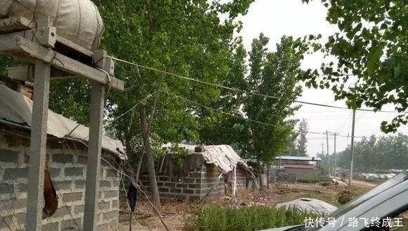  「没想到」回乡做土鸡养殖，十有八九会亏本？网友：没想到这么