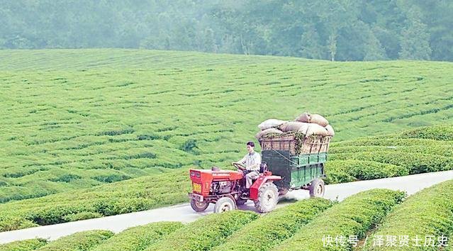 农民将很有可能面临2大问题，村村都有，现实又无奈！