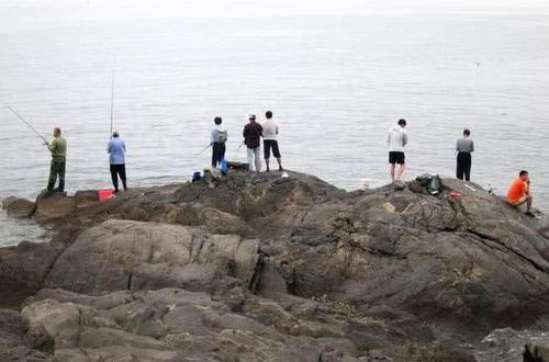  【鲅鱼】海边钓此鱼，一来就是一群，大连人叫它“鲐鲅鱼”