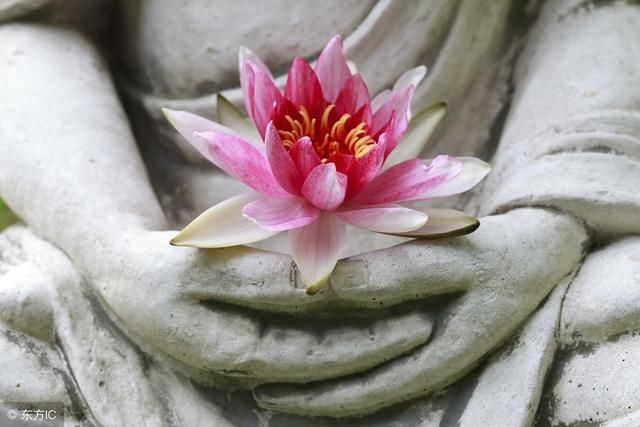 富贵的正因是布施