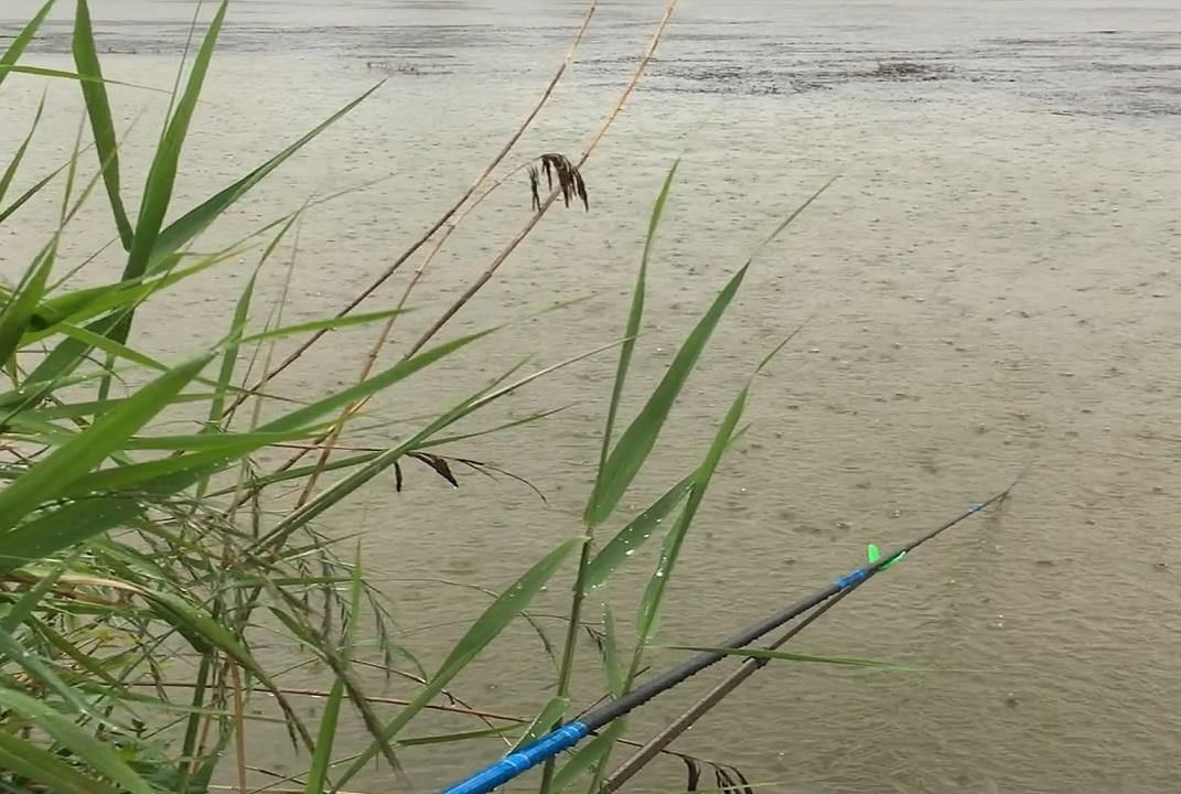  「水体溶氧量」雨后可否出钓？从安全，水温，溶氧量，食物4方面来解析雨后作钓