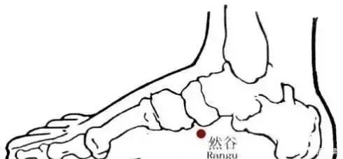 百病从腿养:这么揉,补肾、补血、补气,还防