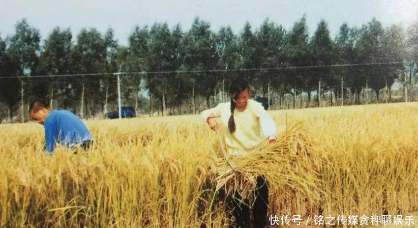  公粮|老农交的公粮能转换成社保吗？现在有答案了，听听专家的解