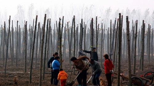 农村这5大怪象，村村都有，城里人难以理解，你们村中了几个？