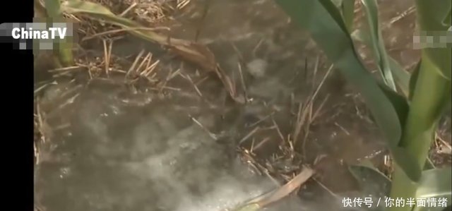 湖北持续高温天气 已有500多万人受灾 经济损失30亿余元