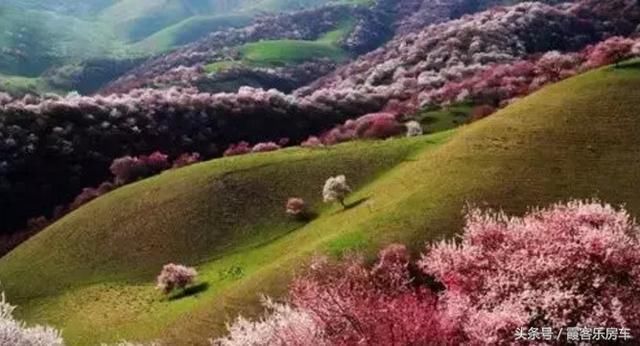 去新疆or去西藏?心累了，去西藏~眼累了，去新疆!