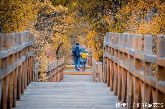 稻城亚丁香巴拉之魂，从全世界路过，忘不掉的只有你