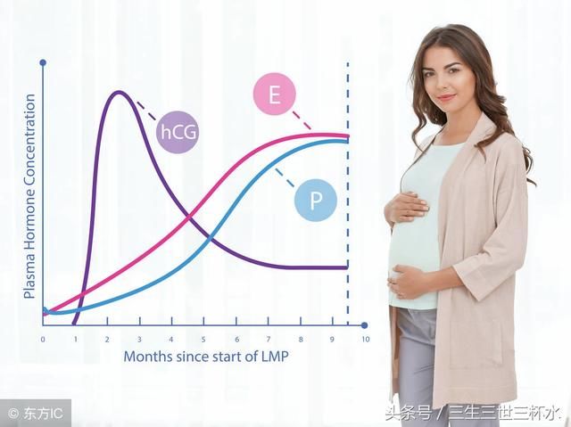 为准妈妈科普:怀孕期间孕酮和HCG正常值应该
