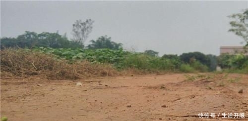  「确权」老农说：“土地确权一测量多出来好几亩地”，这是好事