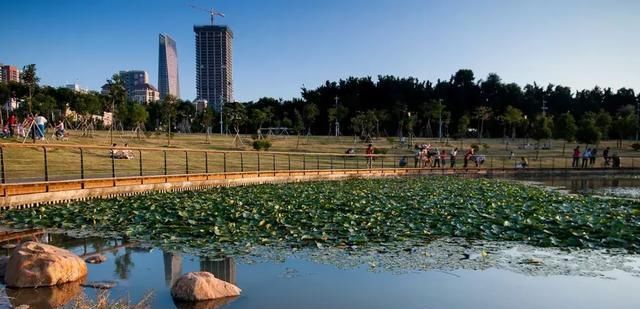 又问我深圳哪里好玩？呵呵…全部都在这里了！深圳游玩景点必收藏