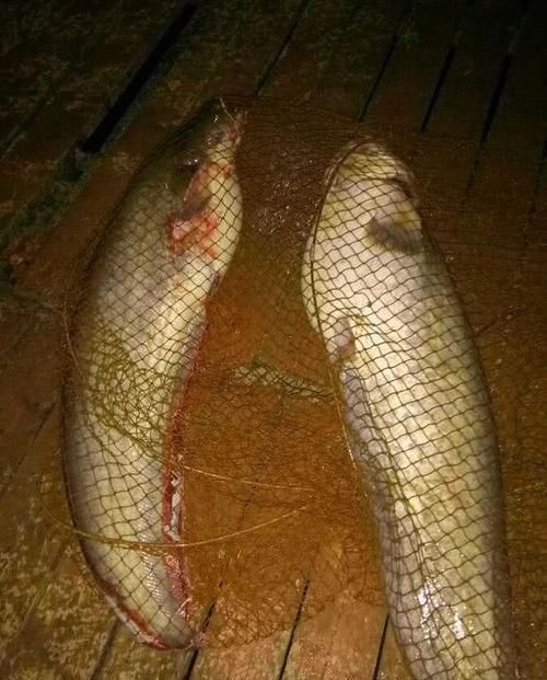  「泡沫箱」万峰湖真的是钓鱼人的天堂吗？
