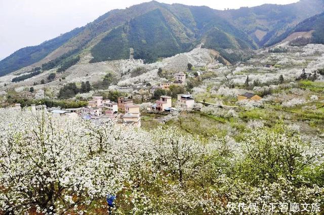桂林的春天,已经把摄影师逼疯了,但大多数人去错了地方!