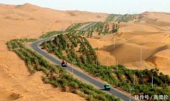 中国最大的沙漠带, 政府花数亿种下大量植物, 如今竟成这个样子