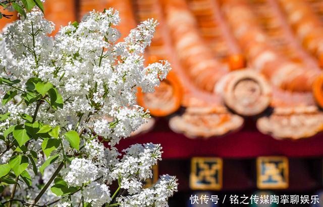 去故宫游玩,为什么不能走回头路?其实原因很简单