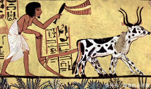 以前中国农民能挑300斤担子，现在年轻人50斤都难，我们在退化