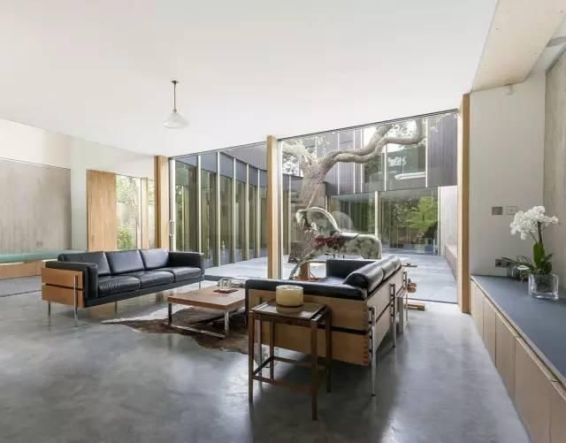 我的屋前有颗树！庭院景观设计 庭院树木 因树建房 依山建房