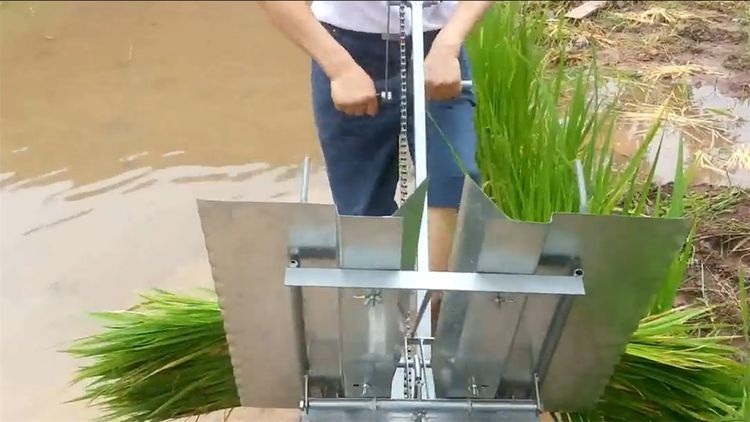  民间|民间牛人发明“手摇式”插秧机，不用油不用电，200元造一