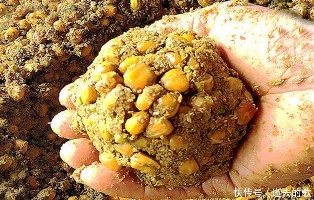  「鱼情」夏季野钓：哪些时间段鲫鱼更好钓呢？