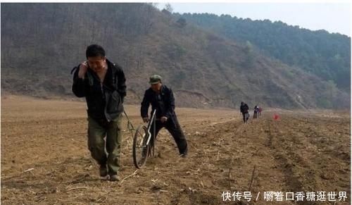  【老虎机】2020年农村这3样东西禁止了，抓到一个罚款3万，你有