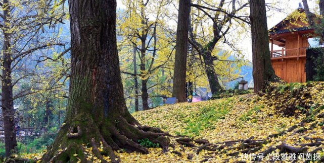 贵州最“可爱”的寺庙,隐藏在大山深处,被游客称为现实版乌龙院