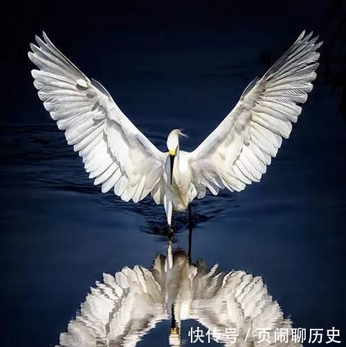 在家自修，世间第一道场！