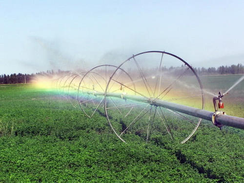 在沙漠里开荒种田,从底下300米抽水,又一项“奇迹工程”?