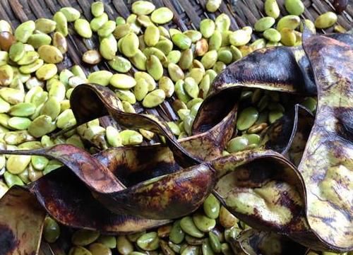 皱纹的“死对头”，每天坚持吃一点，减少皱纹，皮肤紧致有弹性！