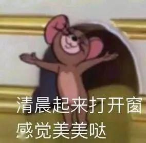  蹿到：@长春人，明天可以穿短袖喽！最高气温蹿到了21℃…