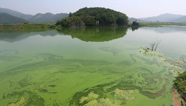  #野钓#晚秋野钓黄金时，出钓遭遇水锈塘，把握它的来龙去脉，从
