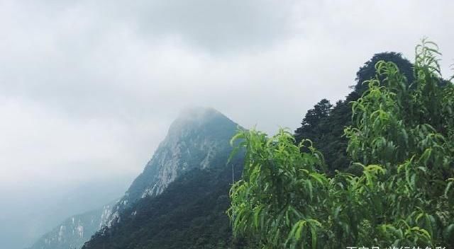 国内这个景区令网友们气愤，中国人收门票，日本人等外国人免费！