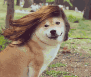 想“换脸”不用去整容院，换个发型超省钱！