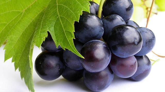 无籽水果属于转基因被辟谣了，快去告诉身边的人