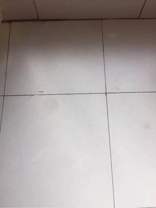 【自制】钓友分享自制的打窝饵料,重新调配效果好!
